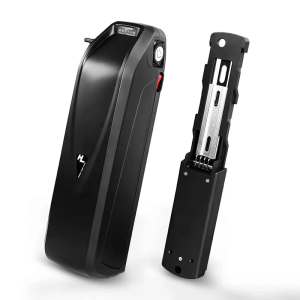 Hailong 전기 스쿠터 ebike 배터리 48V 15Ah