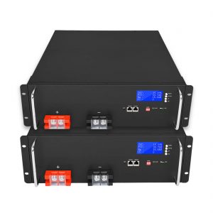 태양 에너지 저장 시스템을 위한 공장 주문화 리튬 이온 건전지 48V 100Ah LiFePO4