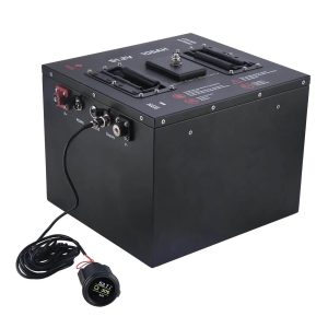 골프 카트용 LiFePO4 배터리 51.2V 105Ah